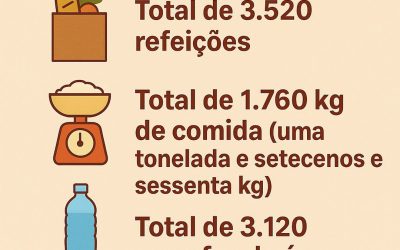 Resumo do Narayana Seva de 2025 até Outubro